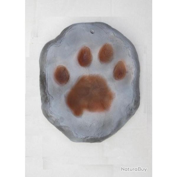 Taxidermie vritable empreinte de lion en rsine