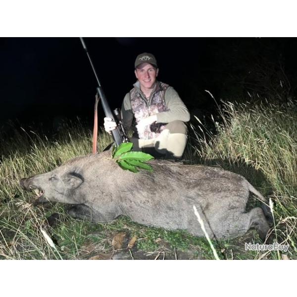 "Instant Chasse" au Sanglier � l'aff�t en Sologne 2025