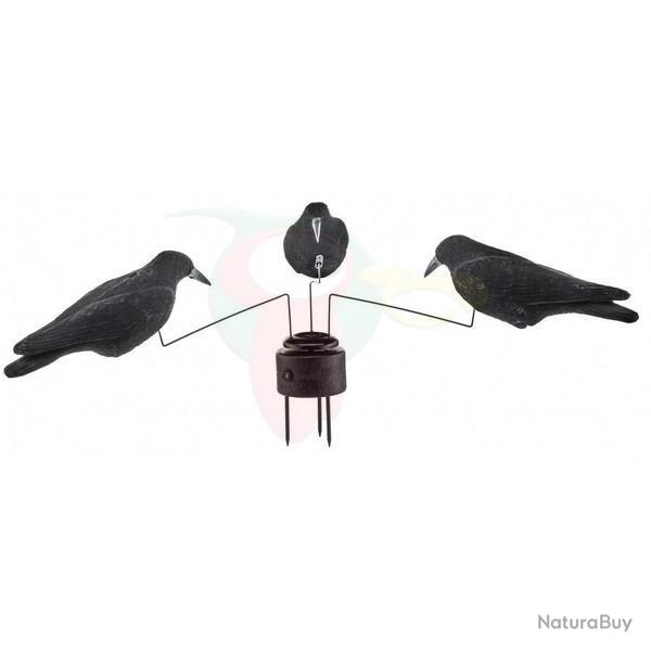 Man�ge 3 Corbeaux floqu�s