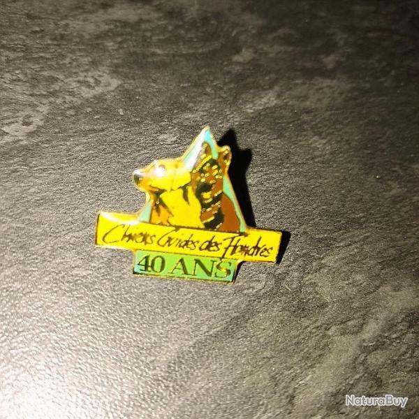 Pin's neuf Association Chiens guides des Flandres