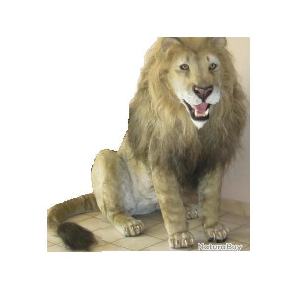 A r�server   troph�e factice r�plique grand carnivore taille r�elle