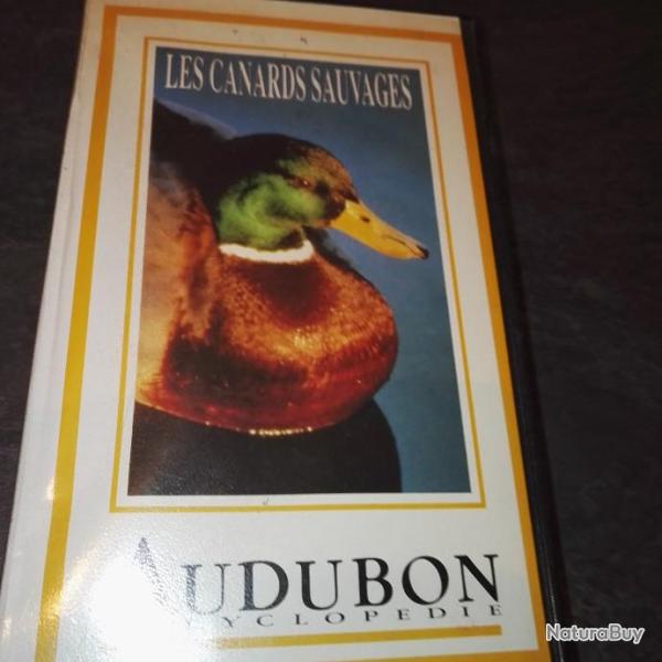 VHS Les canards sauvages