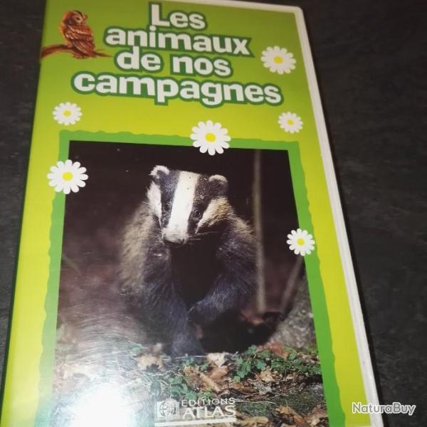 VHS Les animaux de nos campagnes