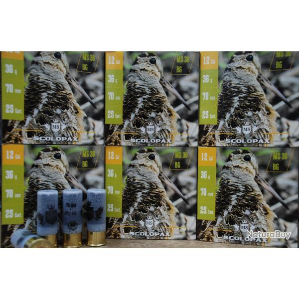 CARTOUCHES MS SCOLOPAX 36GR CALIBRE 12 PROMO ( lot de 100 )