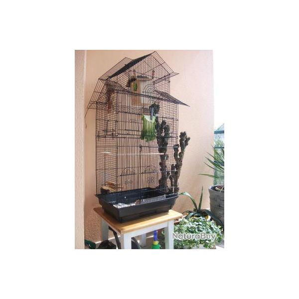 Cage oiseau canaris ins�parable mandarin NEUF avis cielterre-commerce