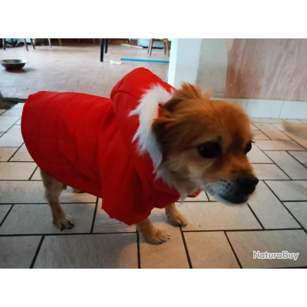 MANTEAU VETEMENT DOUDOUNE MATELASSE  POUR PETIT CHIEN CAPUCHE BORD BLANC