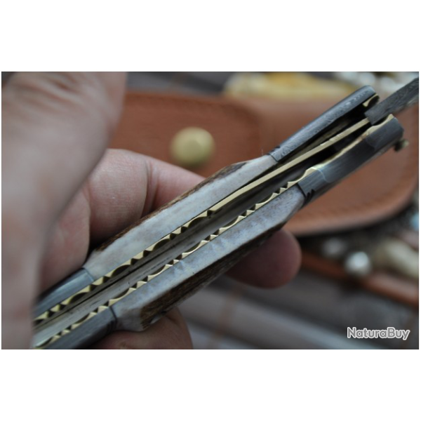 LAME DAMAS - Couteau de poche pliant - Bois de cerf