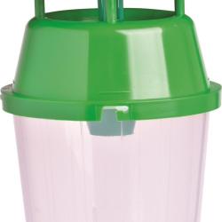 PIEGE MINEUSE DU MARONNIER