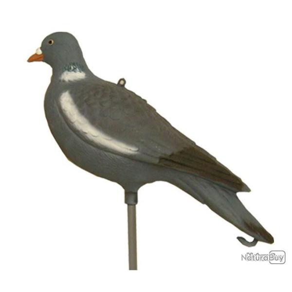 Palombe appat RA SPORT