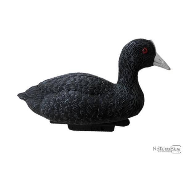 Foulque macroule RA SPORT