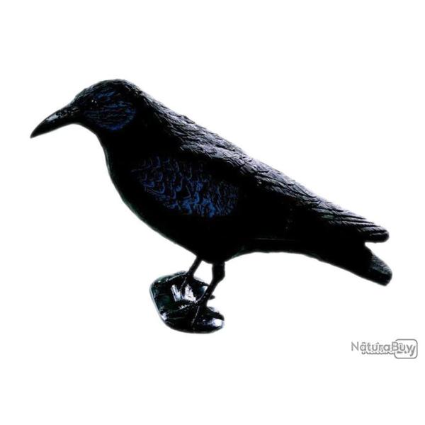 Corbeau avec les jambes RA SPORT