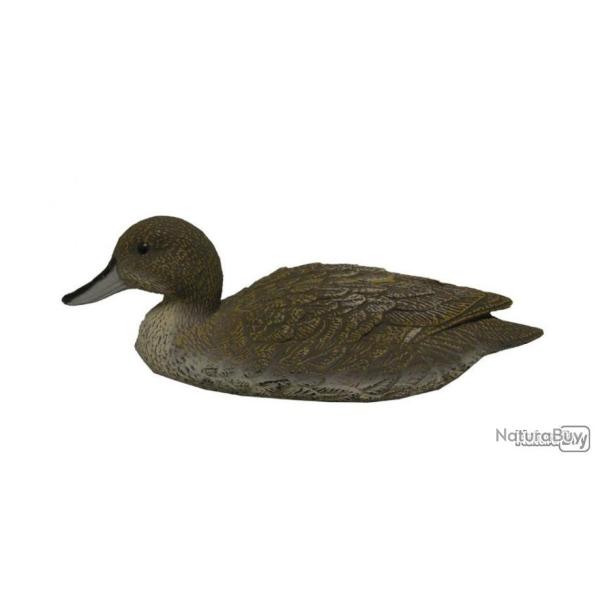 Appat Canard pilet femelle RA SPORT