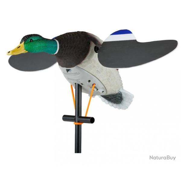 Colvert m�le avec ailes pivotantes Lucky Junior 2 - LUCKY DUCK