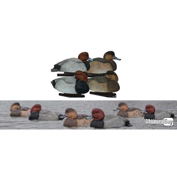 6 moules assortis de Fuligule milouin - AVIAN X