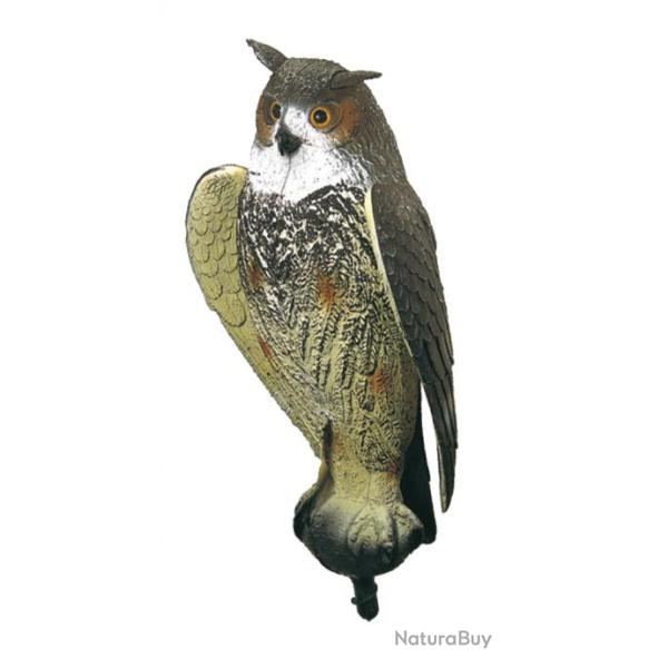 Appelant Grand-duc  ailes battantes 