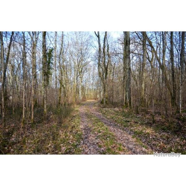 Recherche d'actionnaires en Seine et Marne