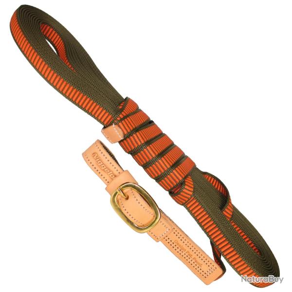 Laisse de sang, largeur 20mm, longueur 12m, verte (Version: Breite 20 mm)