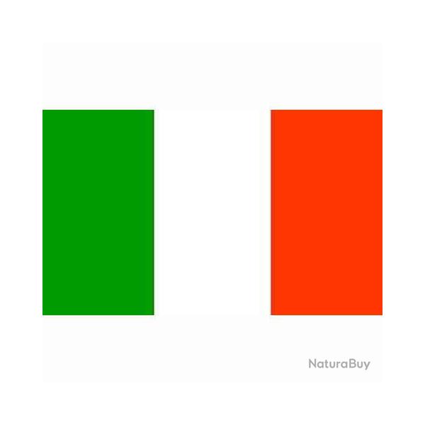 Drapeau Italie (101 Inc)