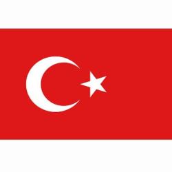 Drapeau Turquie (101 Inc)