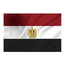 Drapeau Egypte (101 Inc)
