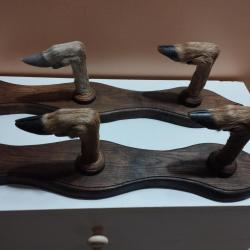 4 PATTES DE CHEVREUIL SUR SUPPORTS BOIS PATERE PORTE FUSIL CARABINE PORTEMANTEAU DECORATION