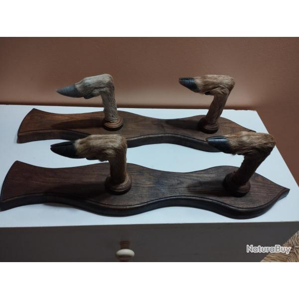 4 PATTES DE CHEVREUIL SUR SUPPORTS BOIS PATERE PORTE FUSIL CARABINE PORTEMANTEAU DECORATION