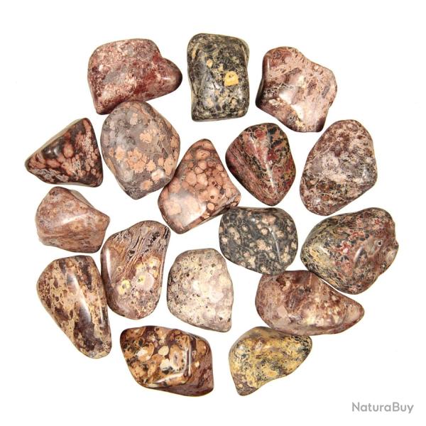 Pierres roul�es jaspe l�opard - 3 � 4 cm - Lot de 4
