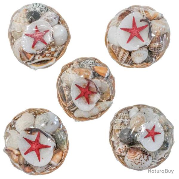 Mini paniers de coquillages assortis - 5 cm - Lot de 5