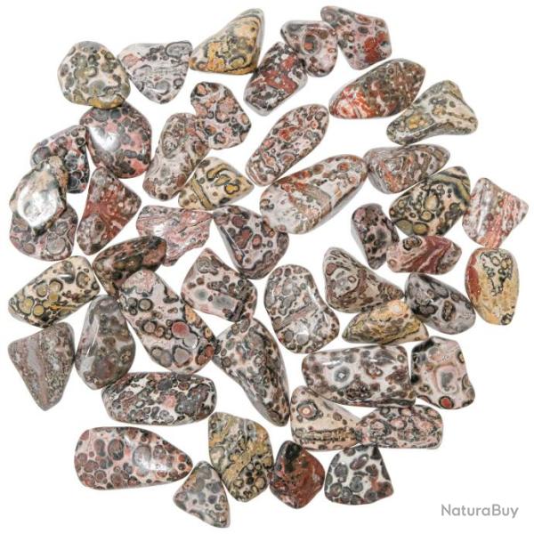 Pierres roul�es jaspe l�opard - 1.5 � 2.5 cm - 30 grammes