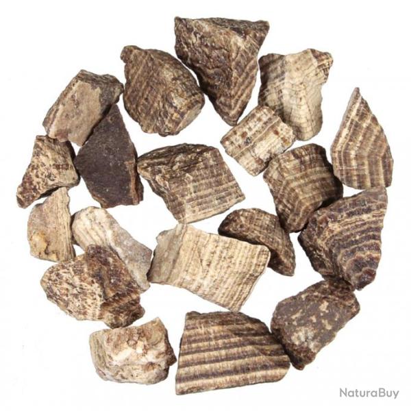 Pierres brutes aragonite - 3 � 6 cm - 100 grammes