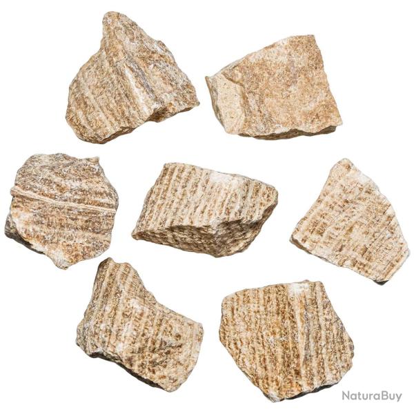Pierres brutes aragonite marron - 4 � 6 cm - Lot de 3