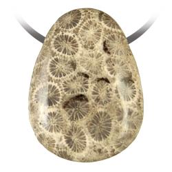 Pendentif goutte pierre perc&eacute;e en corail fossilis&eacute;