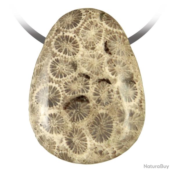 Pendentif goutte pierre perc�e en corail fossilis�