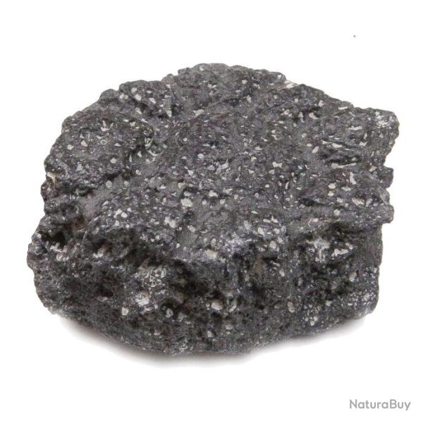 Fragment de carapace de glyptodon fossilise - 4  5.5 cm