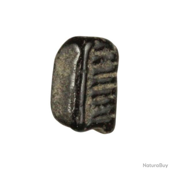 Fragment de dent de raie fossilis�e - 0.5 � 1 cm