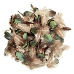 Plumes de faisan de Lady Amherst amande bronze - 5 grammes