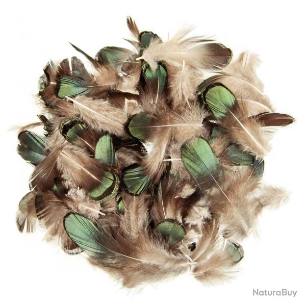 Plumes de faisan de Lady Amherst amande bronze - 5 grammes