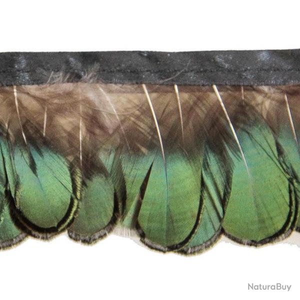Plumes de faisan Lady Amherst amande bronze - Frange 20 cm