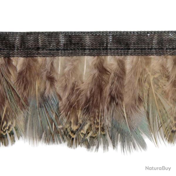 Plumes amande de faisan commun bleutes - Frange 50 cm