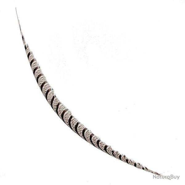 Plume gouttire de faisan Lady Amherst - 80 cm