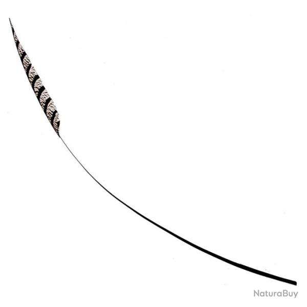 Plume fouet de faisan Lady Amherst - 70 cm