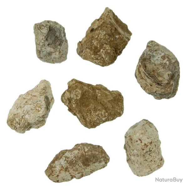 Galets de chauffe du n�olithique - 3 � 5 cm - A l'unit�