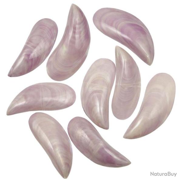 Coquillages perna viridis mauve nacr� entier poli - 8 � 10 cm - Lot de 4