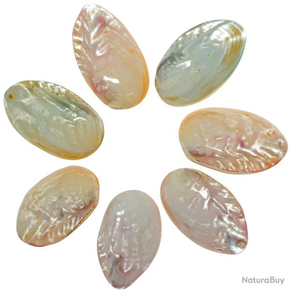 Coquillages moules nacr�es polies color�es pastel entiers - 6 � 8 cm - Lot de 2