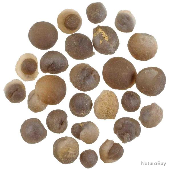 Pierres brutes calcdoine naturelle - 2  3 cm - 50 grammes