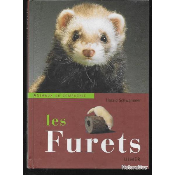 les furets , animaux de compagnie d'harald schwammer