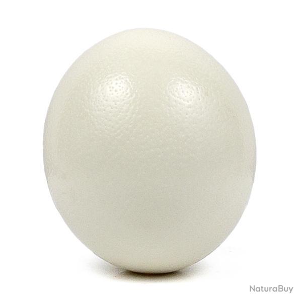 Oeuf d'autruche d�coratif