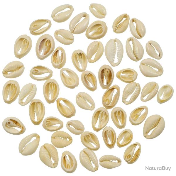 Coquillages cauris d�coup�s - 2 cm - 100 grammes