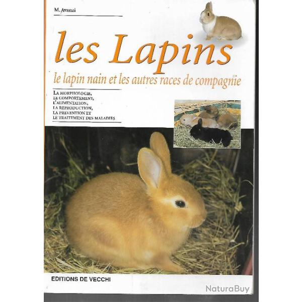 Les lapins , nains et les autres races de compagnie de m avanzi