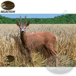 THS SELECTION Blasons animaliers avec zones vitales naturelles pour le tir &agrave; l'arc sur cible 2D 1 pc
